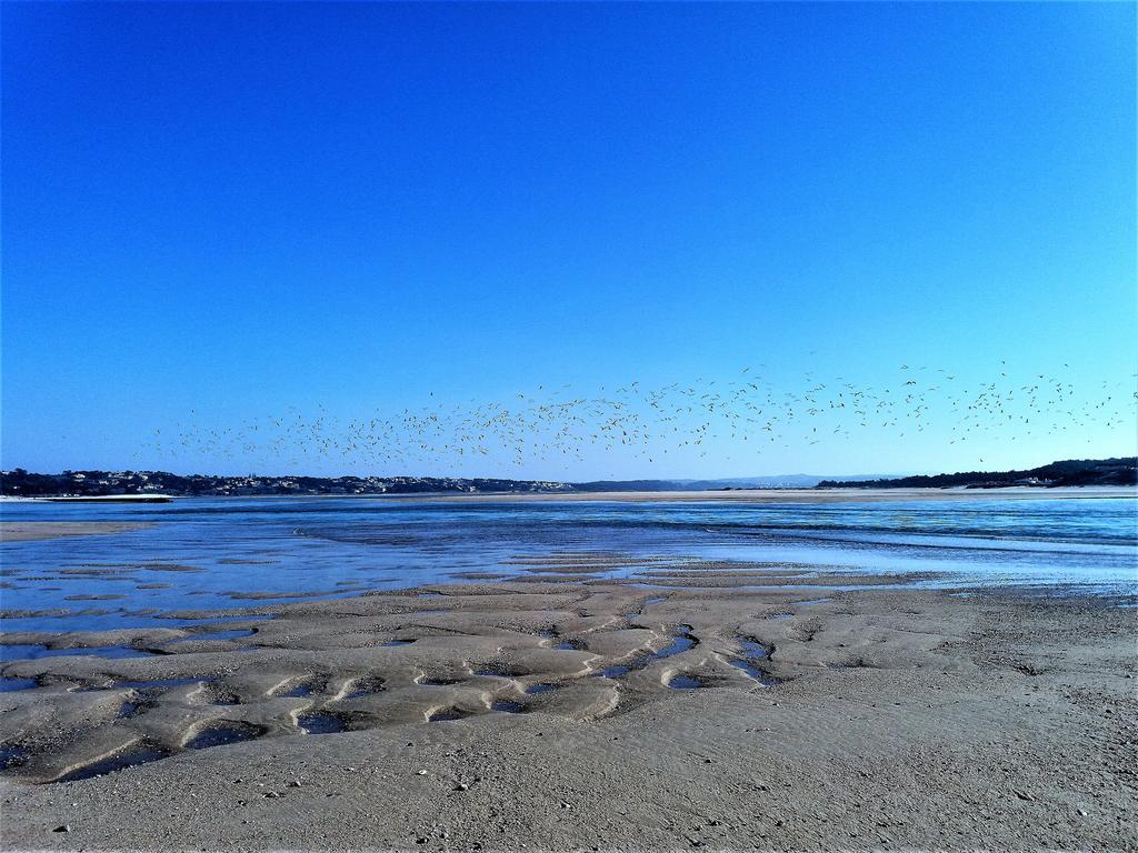 Serra de Mangues Agua Rocha 빌라 외부 사진